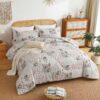QianXia Comforter Set