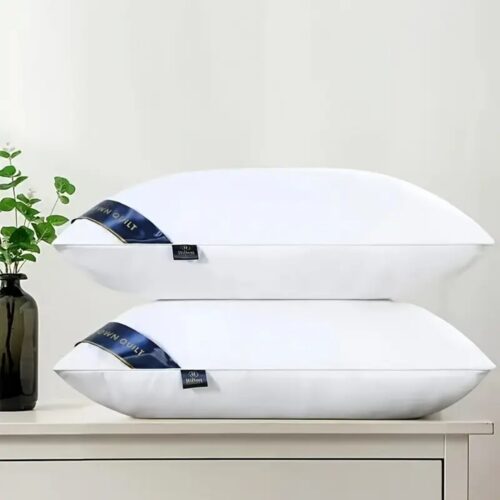 Bed Pillows Blue